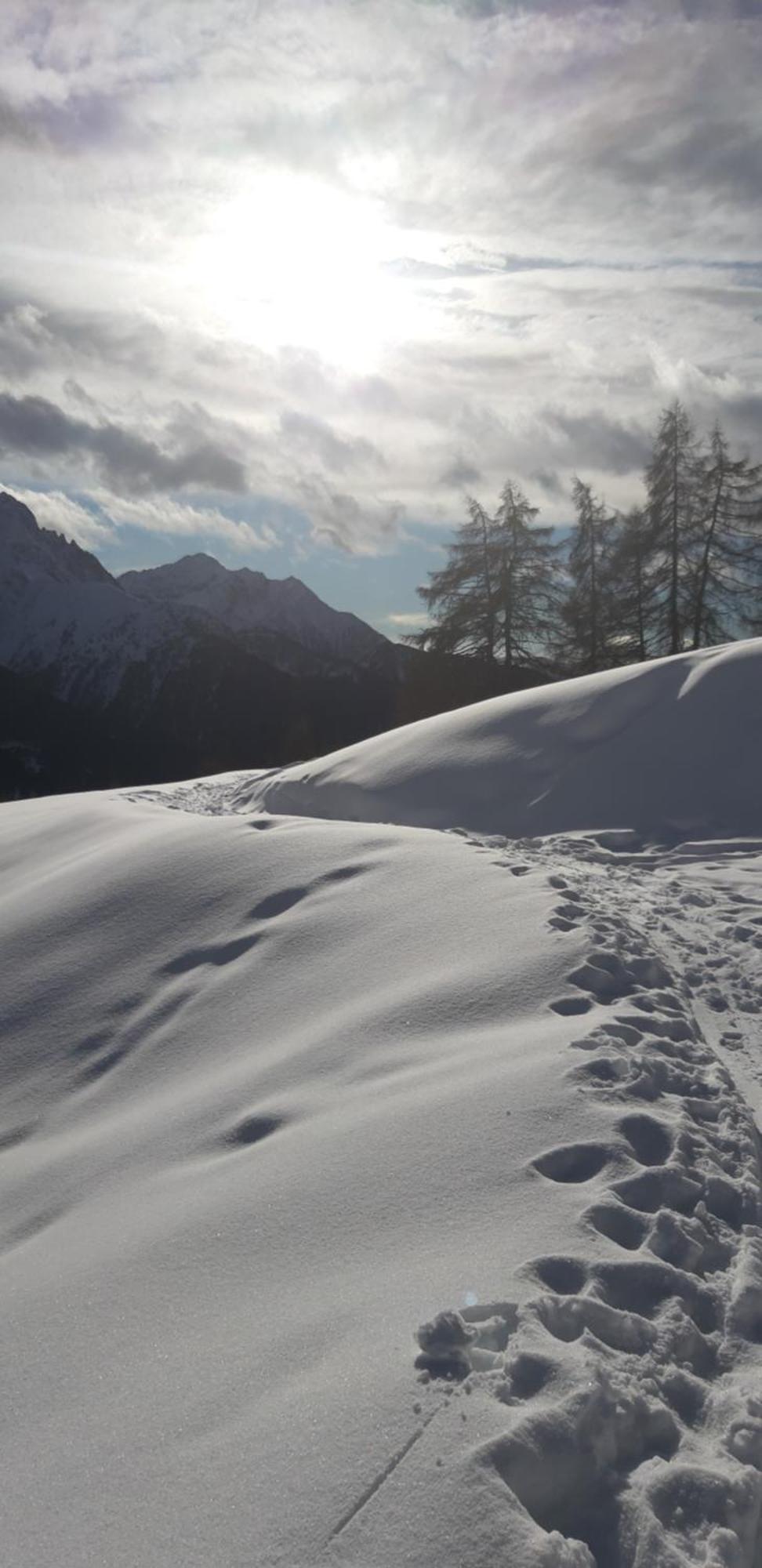 Agriturismo Belotti Temù エクステリア 写真